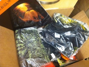 Auction items from Alice In Chains