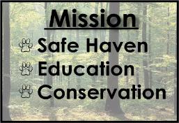 Mission Statement